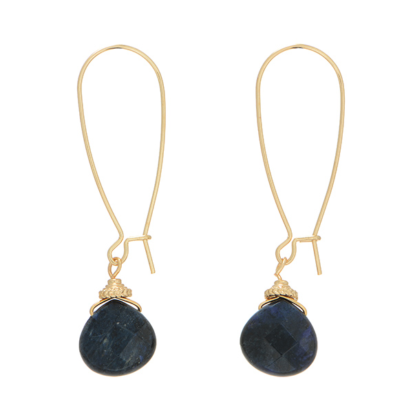 Gold tone fishhook earrings with a navy blue stone charm