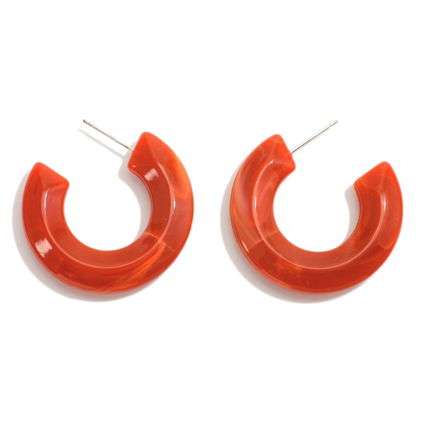 Wholesale resin Hoop Drop Earrings L