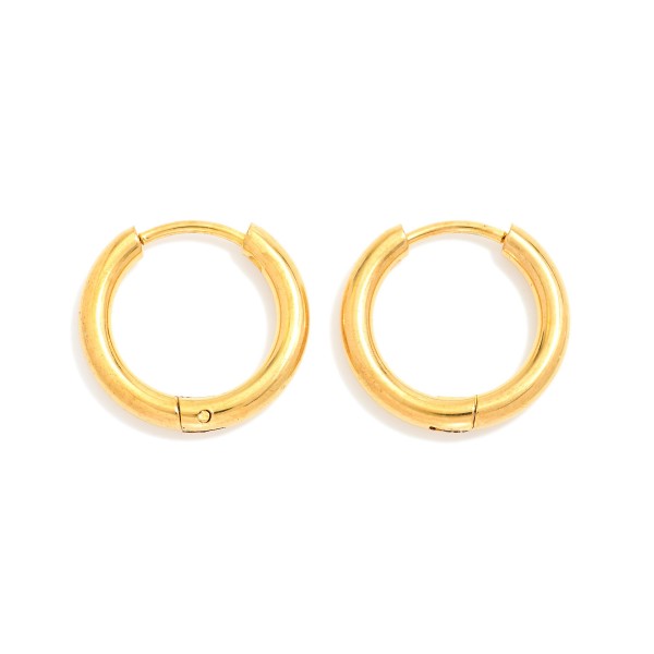 Wholesale metal Hinged Hoop Earrings Stainless Steel Water Resistant D