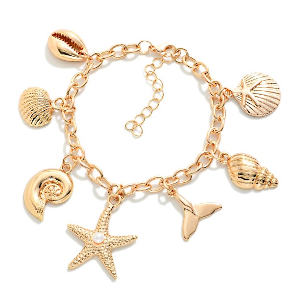 Chain Link Bracelet Featuring Metal Tone Starfish & Shell Charms 

- Approximately 3" D
- Extender 1" L