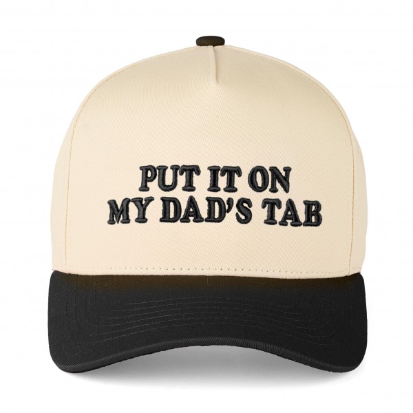 Wholesale c C TCM Two Embroidered PUT IT MY DAD S TAB Trucker Cap Snap Back Clos