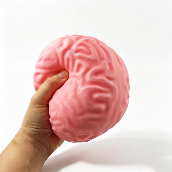 Brain squishy molded with deep folded texture and packed in a printed display box. Slow rise foam compresses under a squeeze and slowly returns to shape for repeat fidgeting. A counter impulse toy for boutiques stocking gag gifts, teacher gifts, classroom rewards, and stocking stuffers. Boxed novelty squishies merchandise neatly on a shelf and sell as a ready to gift grab.