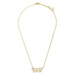 Wholesale gold Dipped Birth Year Necklace CZ Accents Gold Dipped Adjustable Leng