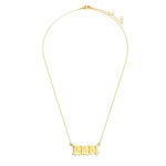 Wholesale birth Year Necklace Gold Dipped Adjustable Lengths