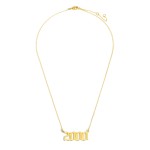 Wholesale birth Year Necklace Gold Dipped Adjustable Lengths