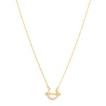 Wholesale dainty Gold Dipped Chain Link Necklace Cubic Zirconia Studded Horse Sh