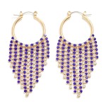 Wholesale two Rhinestone Tassel Drop Hoop Earring L