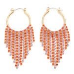 Wholesale two Rhinestone Tassel Drop Hoop Earring L