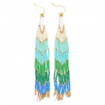 Long Seed Bead Tassel Earrings 

- Approximately 4.5" L