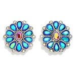 Wholesale western Rhinestone Stud Earrings Silver Tones L