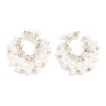 Wholesale pearl Rhinestone Crescent Drop Earrings L