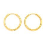 Wholesale metal Hinged Hoop Earrings Stainless Steel Water Resistant D
