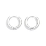 Wholesale metal Hinged Huggie Hoop Earrings Stainless Steel Water Resistant D