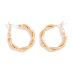 Wholesale twisted Metal Hoop Earrings D