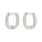 Wholesale metal Oval Hoop Earrings Stainless Steel Tarnish Resistant D