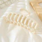 Wholesale large Solid Color Matte Hair Claw L