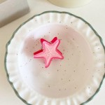 Wholesale mini Acetate Starfish Claw Hair Clip L