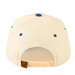 Wholesale c C TCM Two Canvas Baseball Cap Embroidered Leaves Detail Snap Back Cl