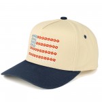 Wholesale c C TCM Two Canvas Embroidered Flower Flag Baseball Cap Snap Back Clos