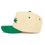 Wholesale tCM Pickleholic Embroidered Two Baseball Cap One Fits Most Snap Back C