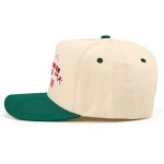 Wholesale all I Want Christmas Baseball Cap playful embroidered lettering wrappe