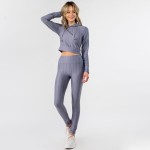 Wholesale honey Comb Tik Tok Activewear Set Including Cropped Hoodie Brazilian B