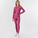 Wholesale honey Comb Tik Tok Activewear Set Including Cropped Hoodie Brazilian B