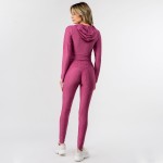 Wholesale honey Comb Tik Tok Activewear Set Including Cropped Hoodie Brazilian B