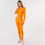 Wholesale honey Comb Tik Tok Activewear Set Including Cropped Hoodie Brazilian B