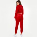 Wholesale soft Faux Fur Fleece Half Zip Cropped Hoodie Jogger Set Pull Tighten H