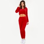 Wholesale soft Faux Fur Fleece Half Zip Cropped Hoodie Jogger Set Pull Tighten H