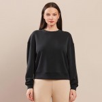Wholesale women s Plus Sofie Soft Modal Scuba Cropped Crew Top Pack Crewneck Cro