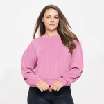 Wholesale women s Plus Sofie Soft Modal Scuba Cropped Crew Top Pack Crewneck Cro