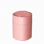 Wholesale portable Humidifier USB Rechargeable Charger Included T D