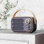 Wholesale portable Speaker Carry Handle AUX Cord USB Cable Included T L
