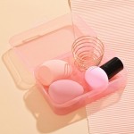 Wholesale set Three Beauty Blenders Holder Travel Cade Included T L