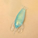 Wholesale shrimp squishy toy quirky conversation starting novelty sells persona