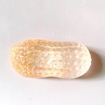 Wholesale translucent Gel Peanut Squishy Toy Cute novelty squishy toy designed g