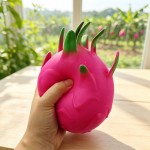 Wholesale dragon fruit squishy molded spiked leaf detail packed printed display