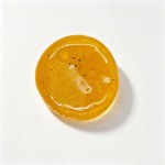 Wholesale fruit jelly squishy soft translucent gel flecked tiny seeds so it read