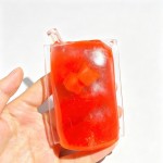 Wholesale ice pop squishy sealed clear sleeve molded frosted jelly suspended cub
