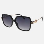 Wholesale butterfly Sunglasses Metal Temple Detail Pack Frame Material Plastic L