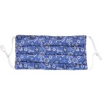 Wholesale non Medical Paisley Bandana Print Pleated Fashion Mask Adjustable Ear